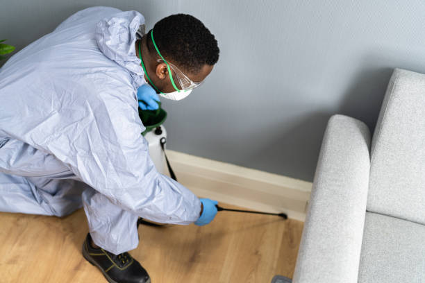 Indoor Pest Control in Moreno Valley, CA